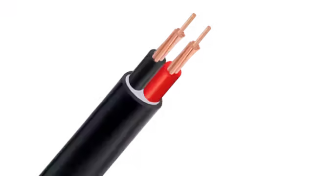 Cáp điện CVV-Cu/PVC/PVC 2x