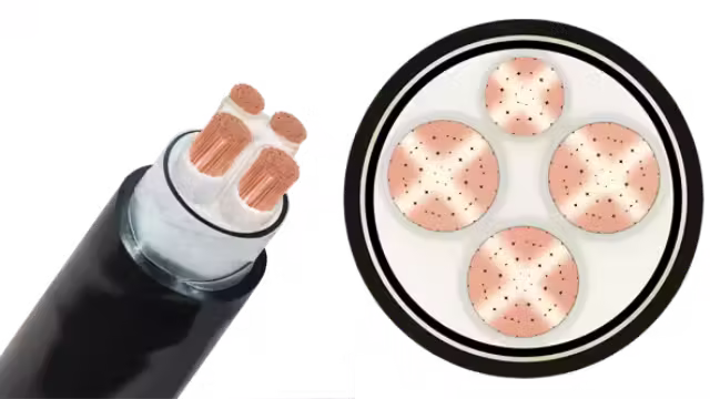 Cáp ngầm CXV/DSTA-Cu/XLPE/SWA/PVC 3x+1x
