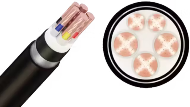 Cáp ngầm CXV/DSTA-Cu/XLPE/SWA/PVC 3x+2x