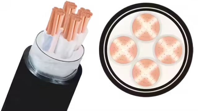 Cáp ngầm CXV/DSTA-Cu/XLPE/SWA/PVC 4x