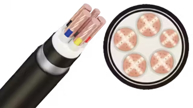 Cáp ngầm CXV/DSTA-Cu/XLPE/SWA/PVC 4x+1x