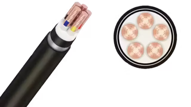 Cáp ngầm CXV/DSTA-Cu/XLPE/SWA/PVC 5x